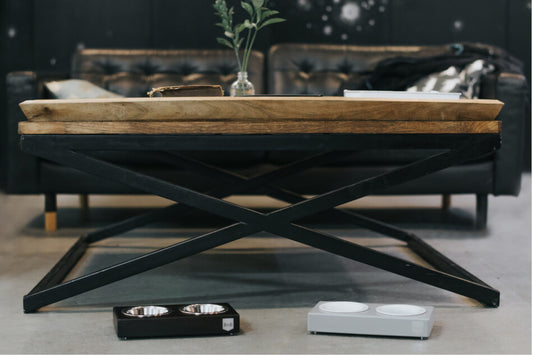 A Bowlandbone Republic dog bowl in chestnut with a black leather couch.