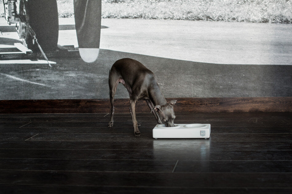 A Bowlandbone/Bowl&Bone Republic dog bowl SOLO CERAMIC chestnut in front of a wall.