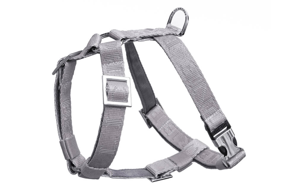 A Bowlandbone dog harness BLOOM grey on a white background.