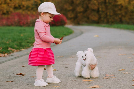 A little girl is playing with a brown dog harness from Bowl&Bone Republic in the park.