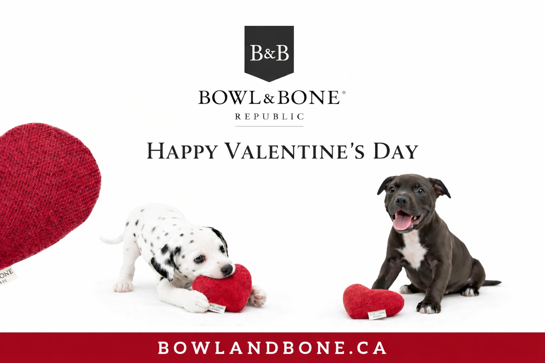 DOG LOVERS!!!! ❤️ This Is for You!