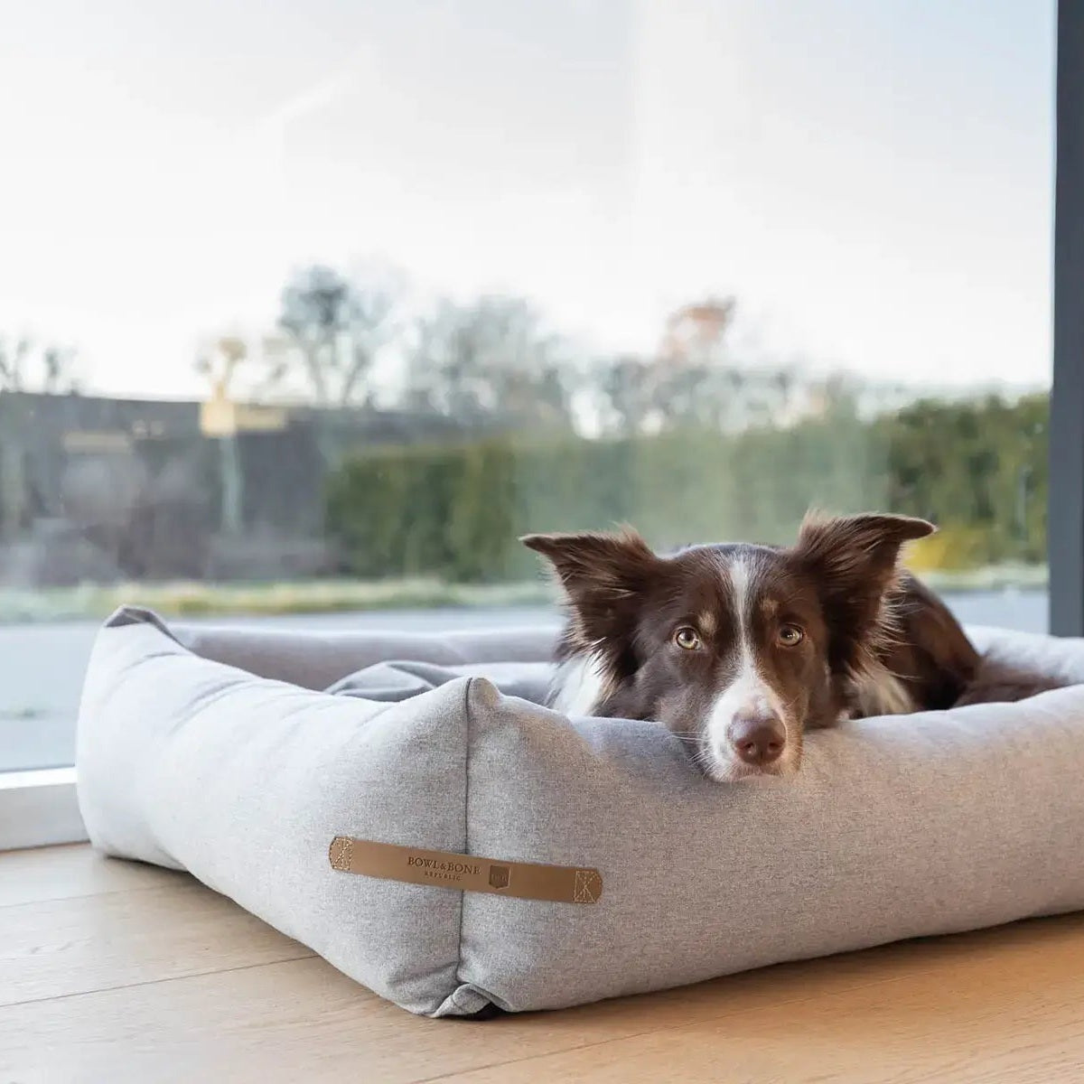 The Ultimate Guide to Choosing the Perfect Dog Bed