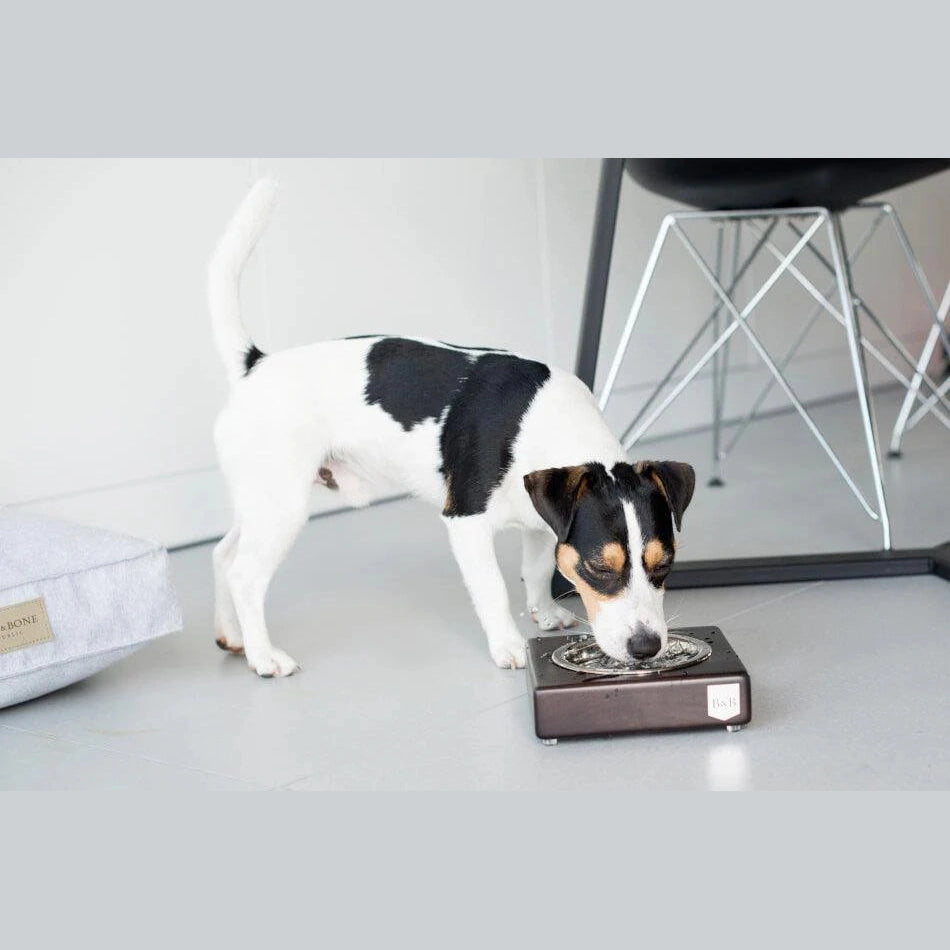 Dog Treats Recipes: Beef Edition