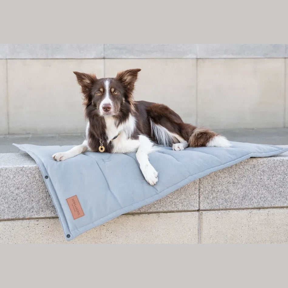 Expert Tips for Choosing the Best Travel Dog Mat