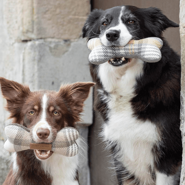 dwo dogs with bone toys