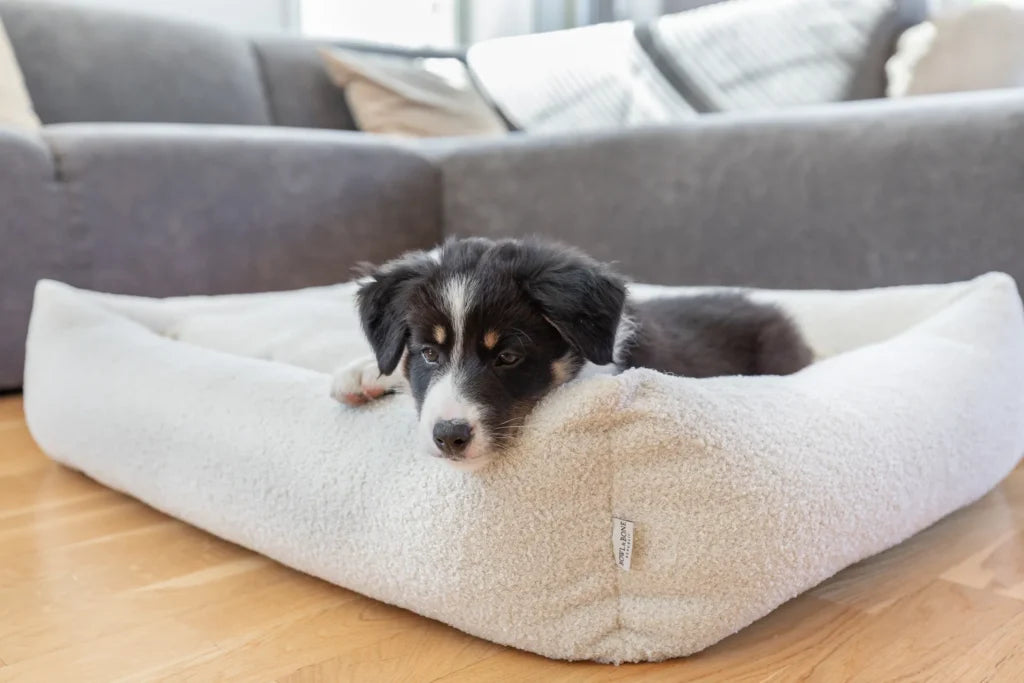 calming dog bed HARMONY cream