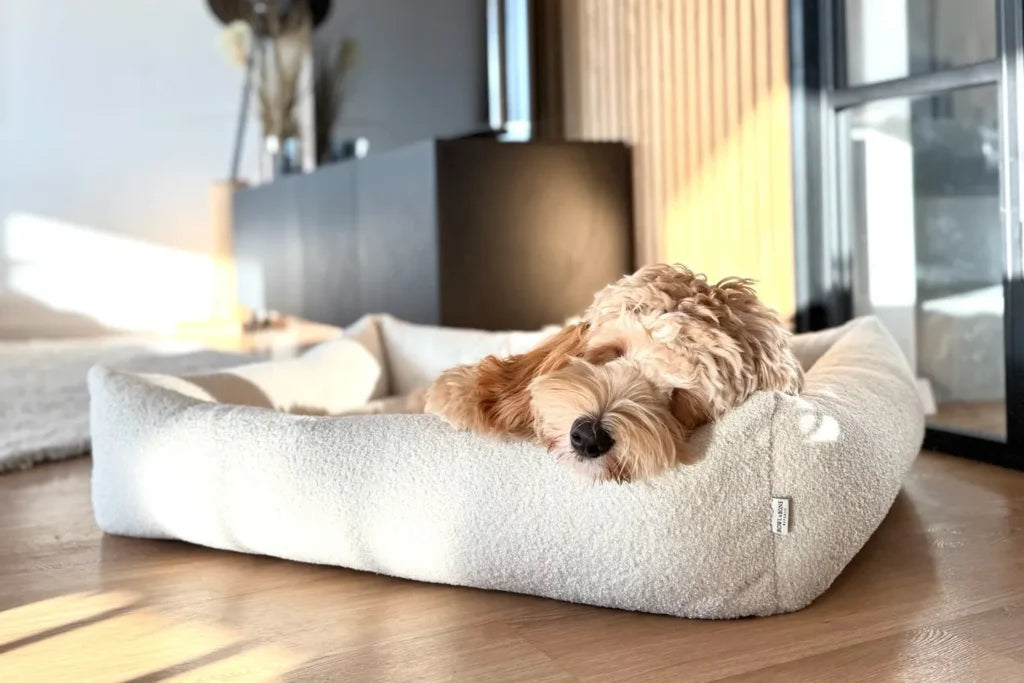 calming dog bed HARMONY green