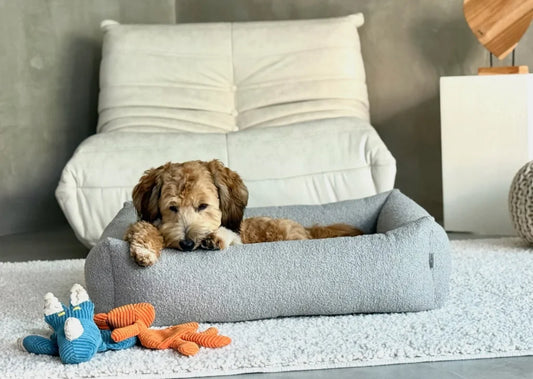 calming dog bed HARMONY grey