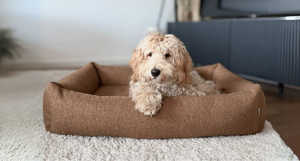 calming dog bed HARMONY brown