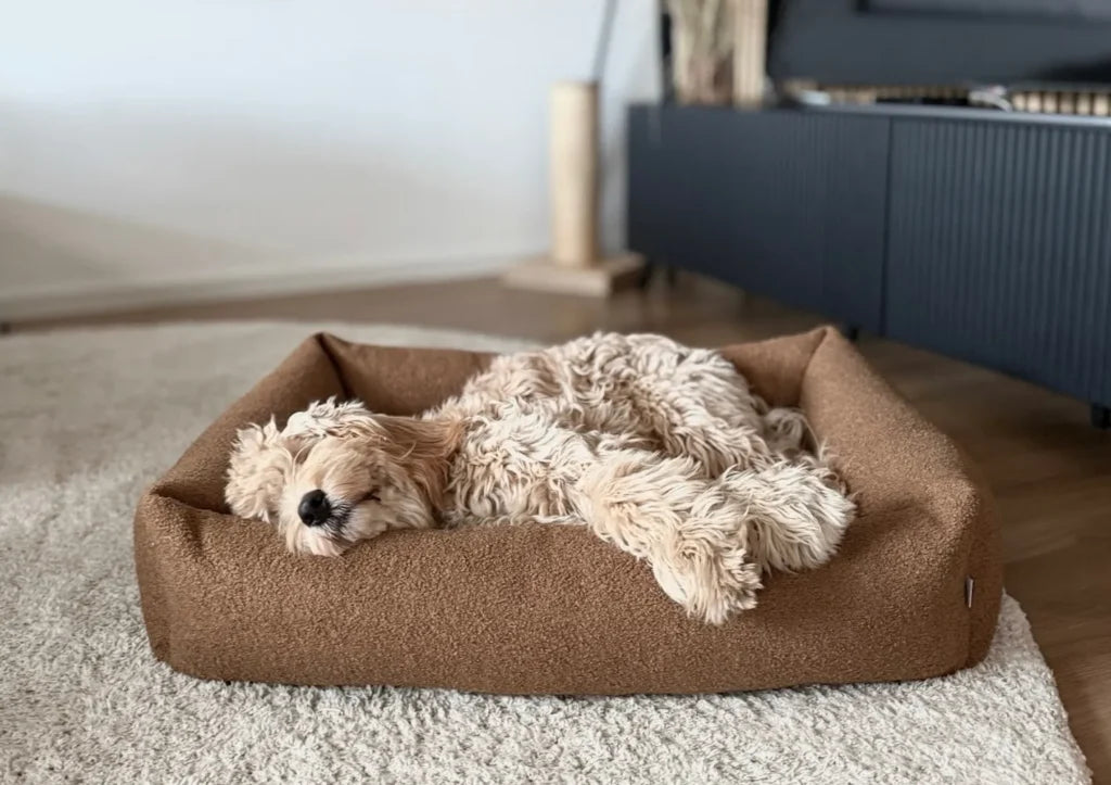 calming dog bed HARMONY brown