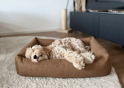 calming dog bed HARMONY green