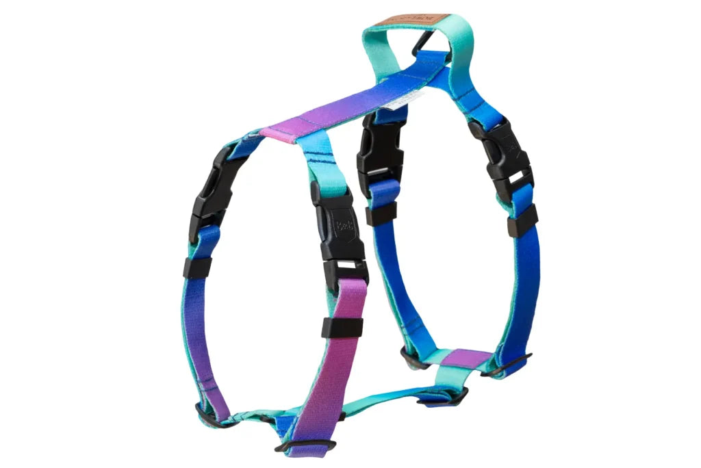 dog harness GRADIENT mint