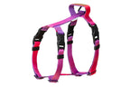dog harness GRADIENT tango