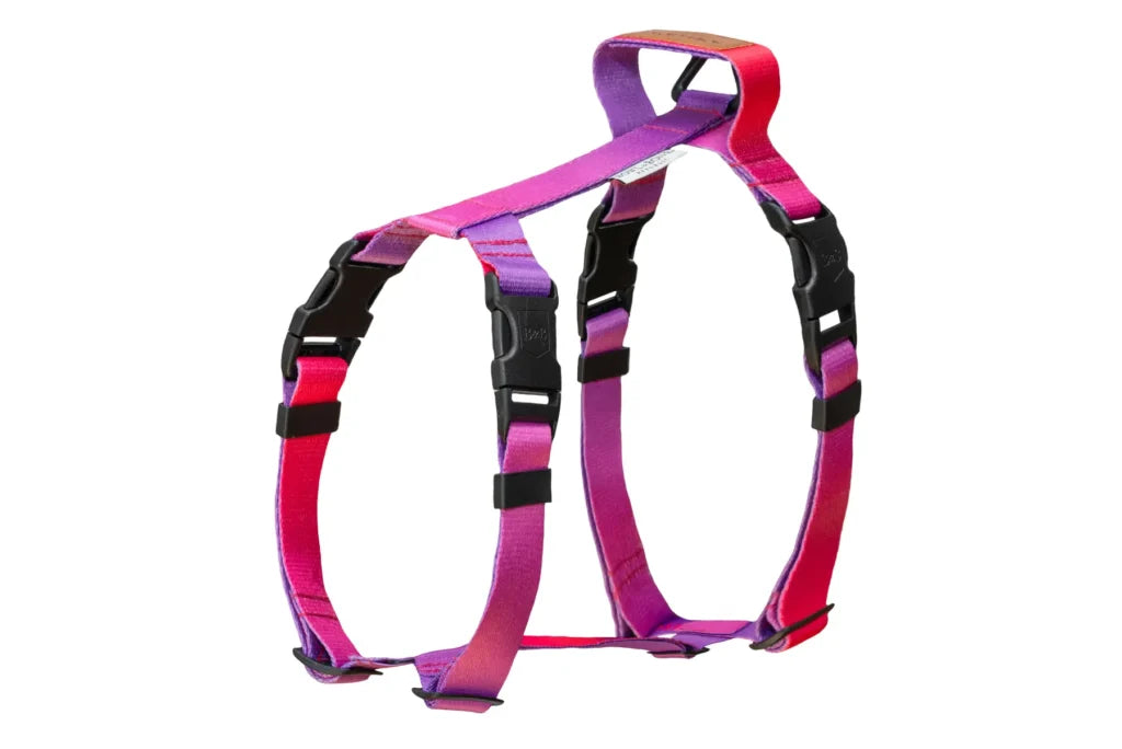dog harness GRADIENT tango
