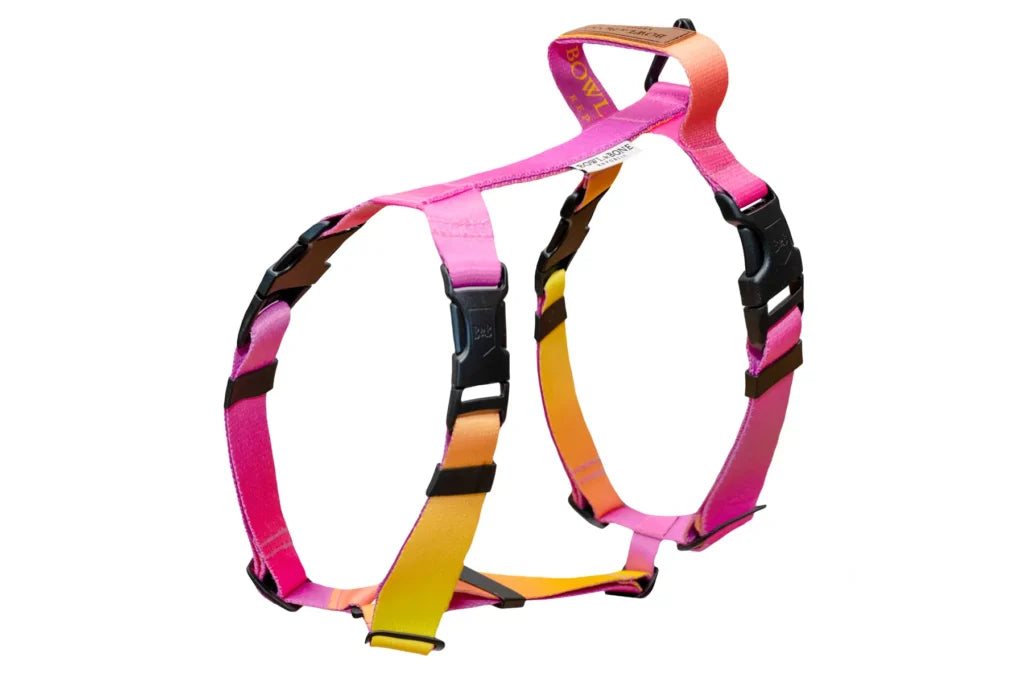 dog harness GRADIENT yellow