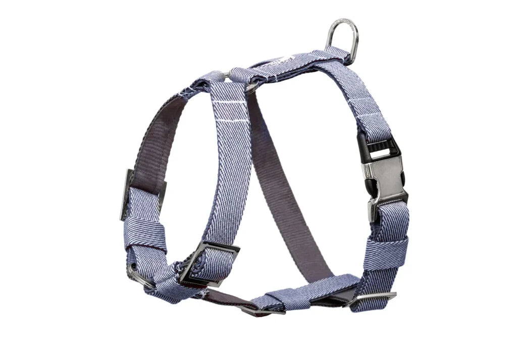 dog harness BREEZE blue