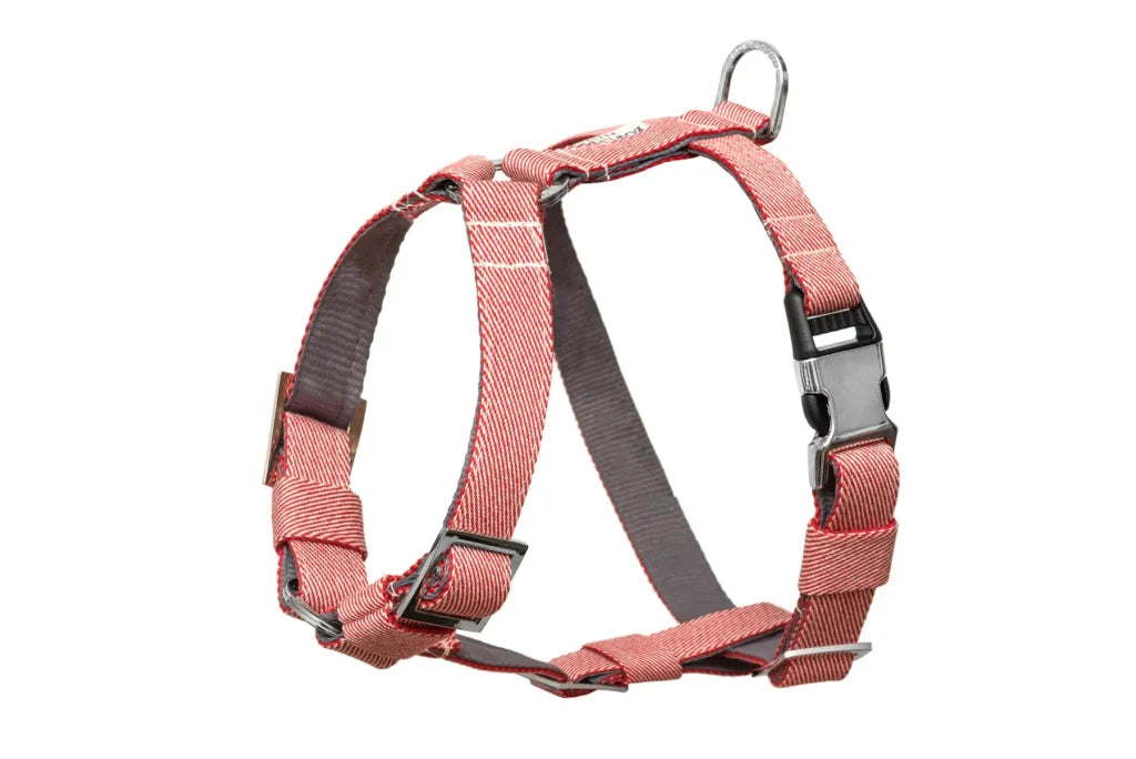 dog harness BREEZE red
