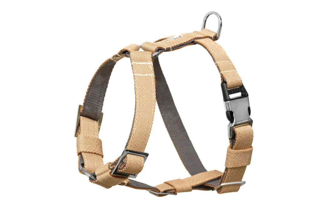 dog harness BREEZE yellow