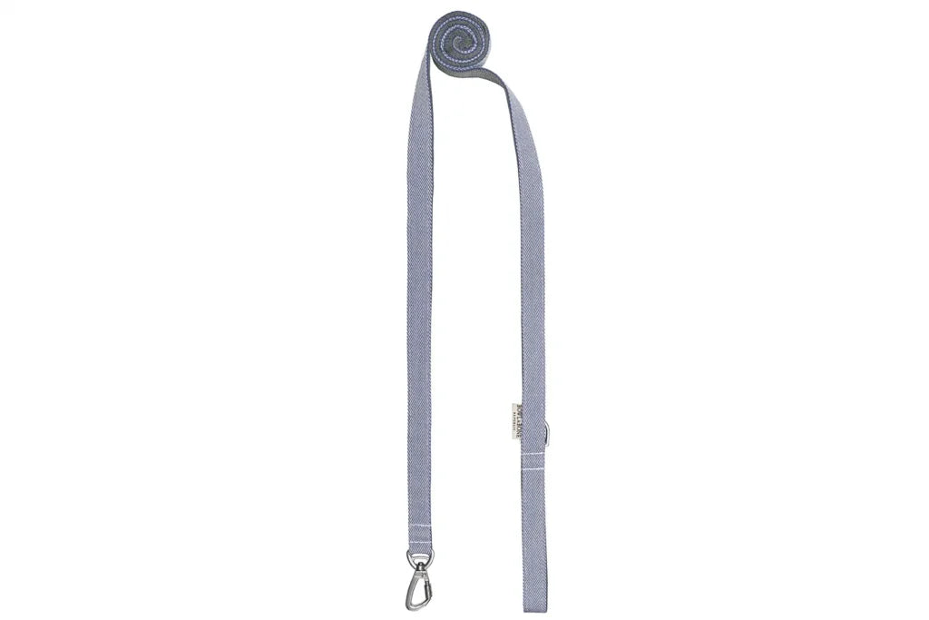 dog harness BREEZE blue