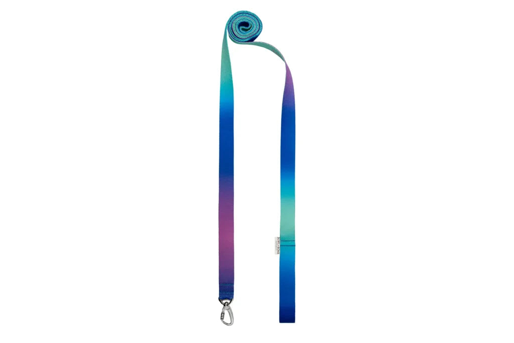 dog harness GRADIENT mint