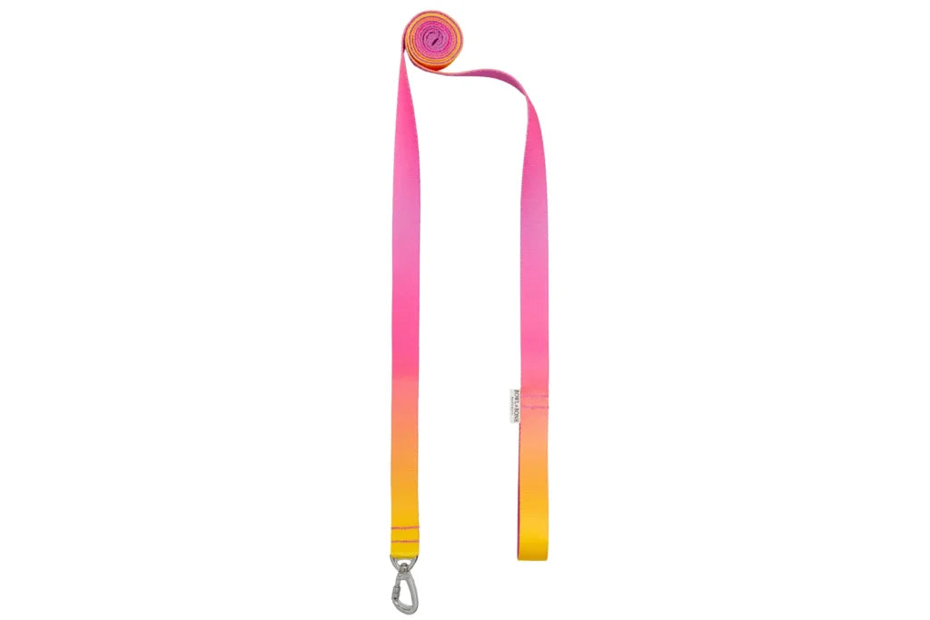 dog harness GRADIENT yellow