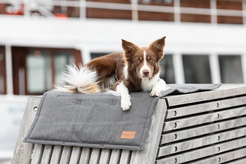 dog mat LOFT grey