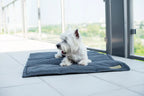 dog mat LOFT grey - Bowl&Bone Republic US and Canada