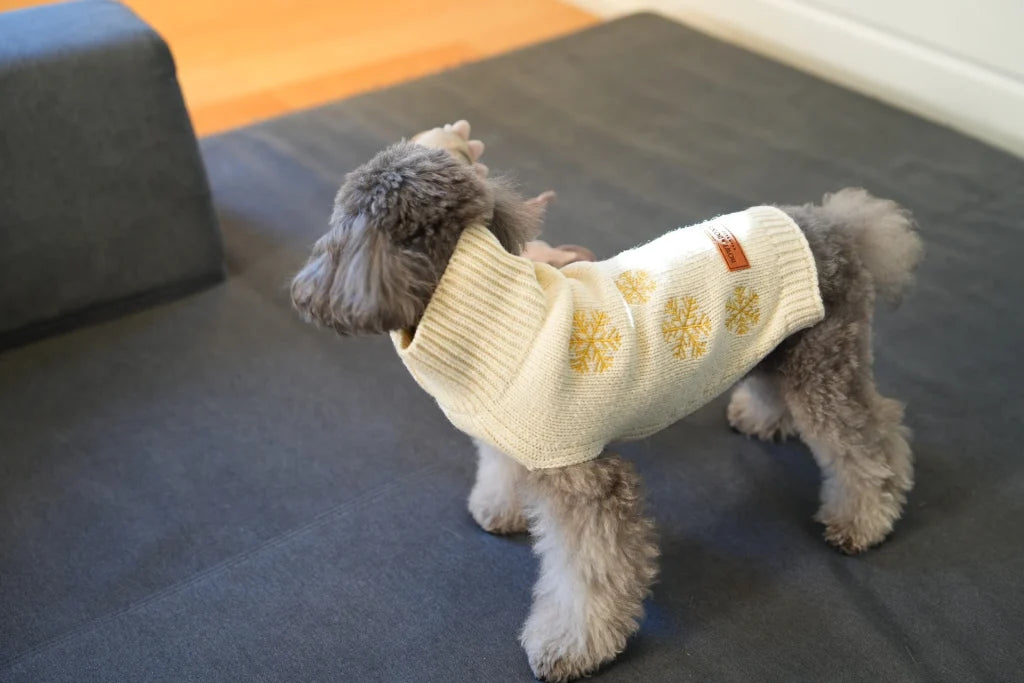 dog sweater SNOWFLAKE cream