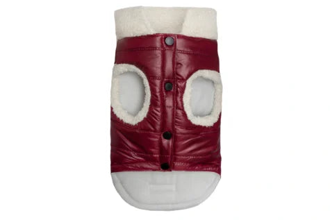 dog winter jacket BLIZZARD burgundy