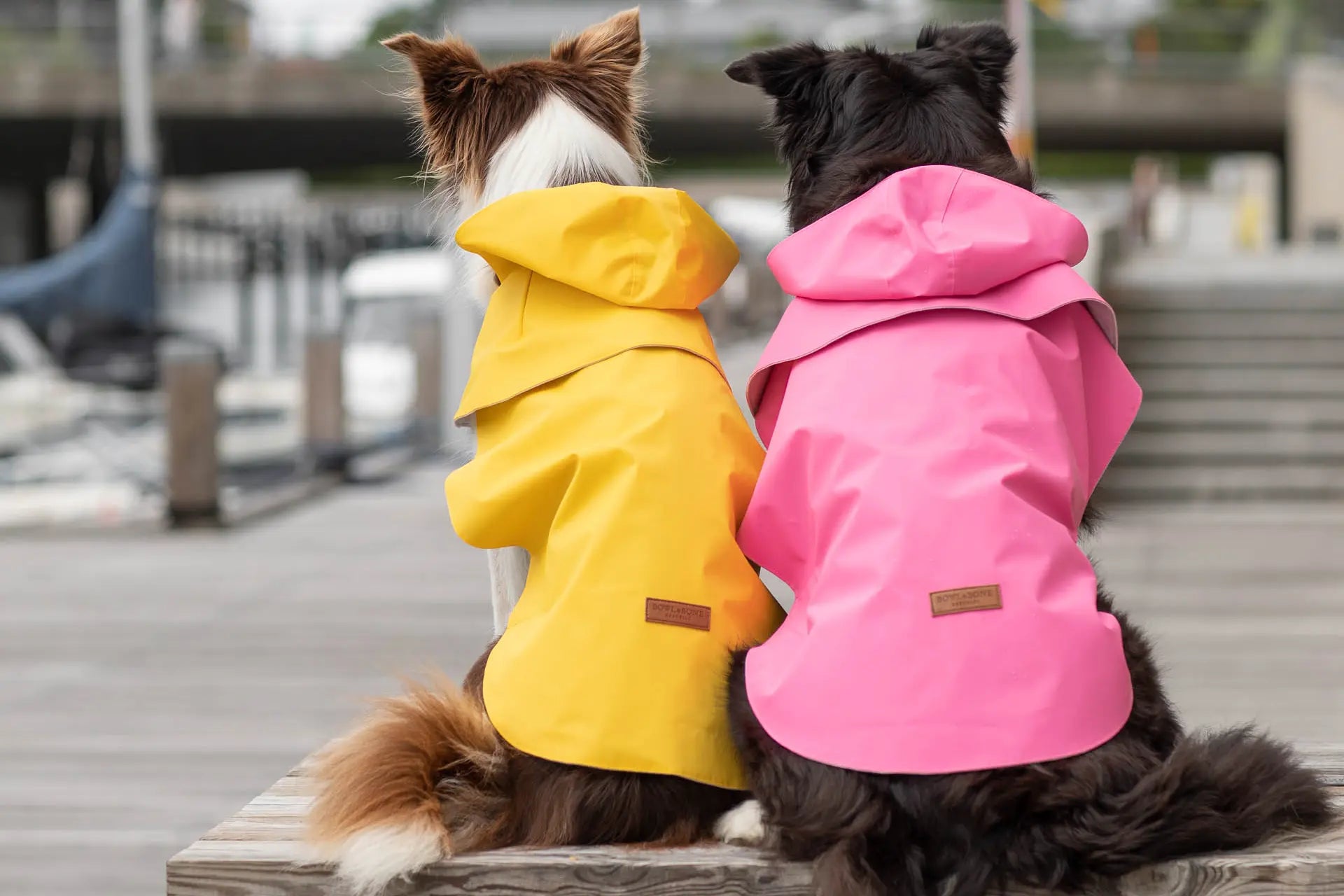 dog raincoat STORM yellow - Bowl&Bone Republic US and Canada