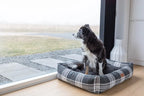 dog bed SCOTT graphite
