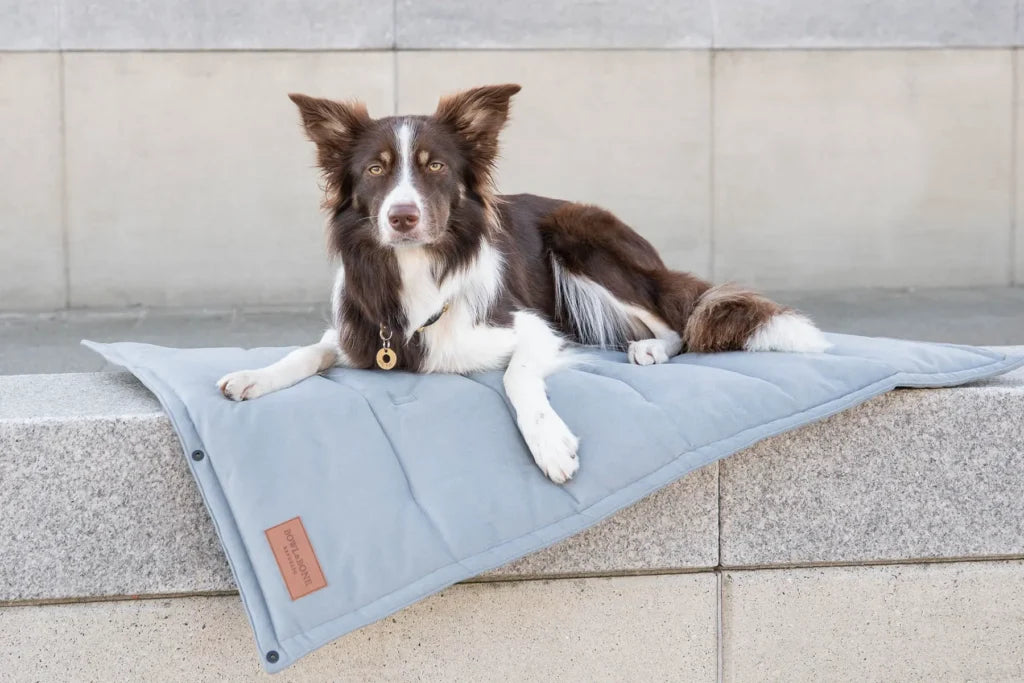 travel dog mat CLASSIC brown - Bowl&Bone Republic US and Canada