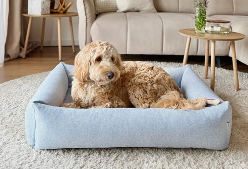 dog bed BLISS yellow
