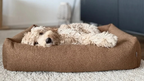 calming dog bed HARMONY brown