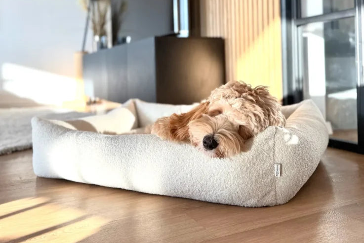 calming dog bed HARMONY grey