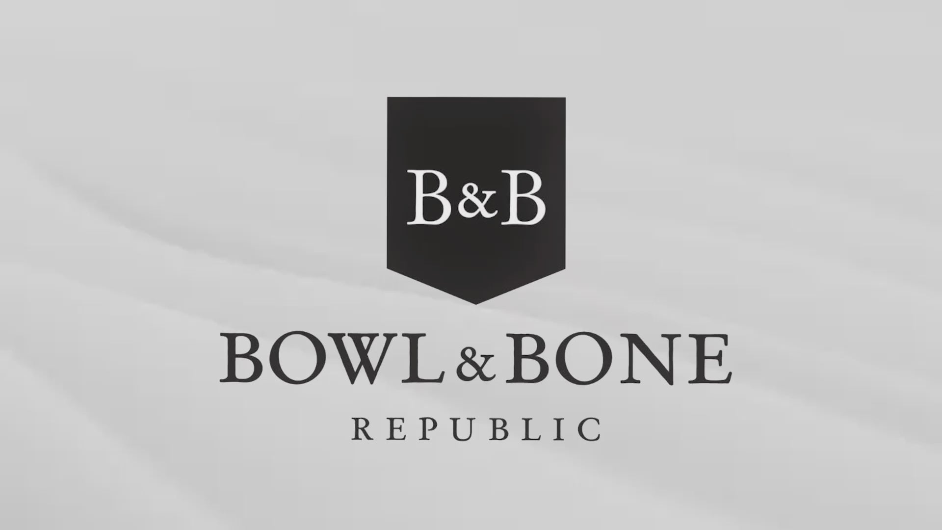 dog hoodie YOLO graphite