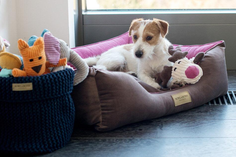 A dog laying in a Bowlandbone basket for dog toys COTTON grey with stuffed toys.
