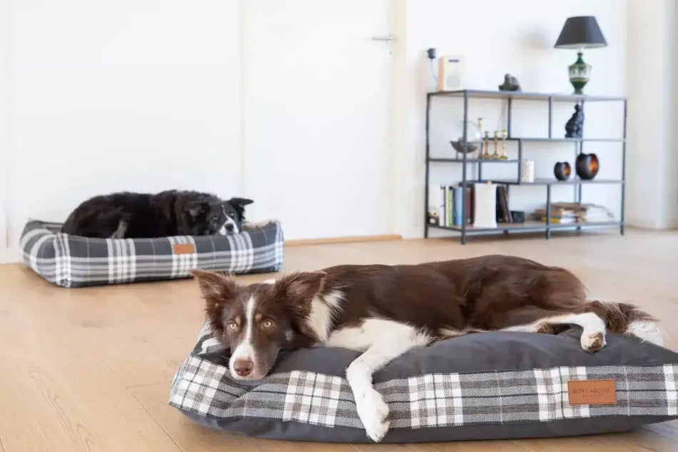 Two dogs laying on a Bowl&Bone Republic dog cushion bed SCOTT brown in a living room.