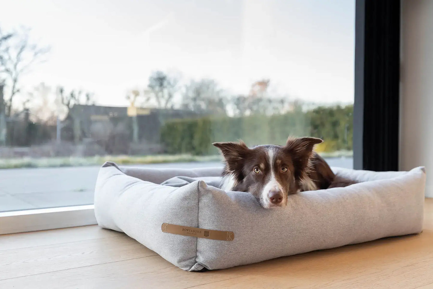 A dog lounging in a Bowlandbone dog bed LOFT grey.
