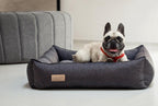 A french bulldog is sitting in a dog bed by Bowl&Bone Republic.