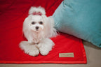 A small white dog sitting on a red Bowl&Bone Republic dog blanket.
