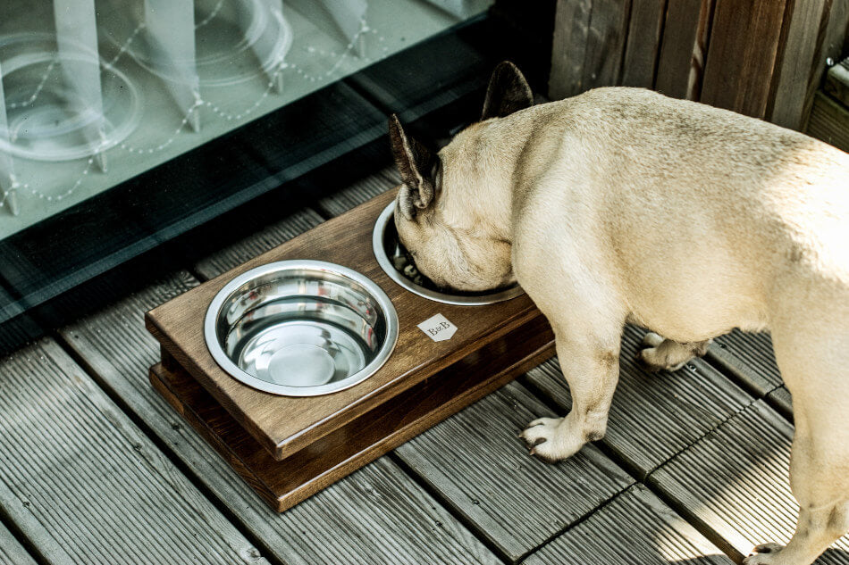 A dog drinking from a Bowl&Bone Republic jasmine dog bowl on a deck.