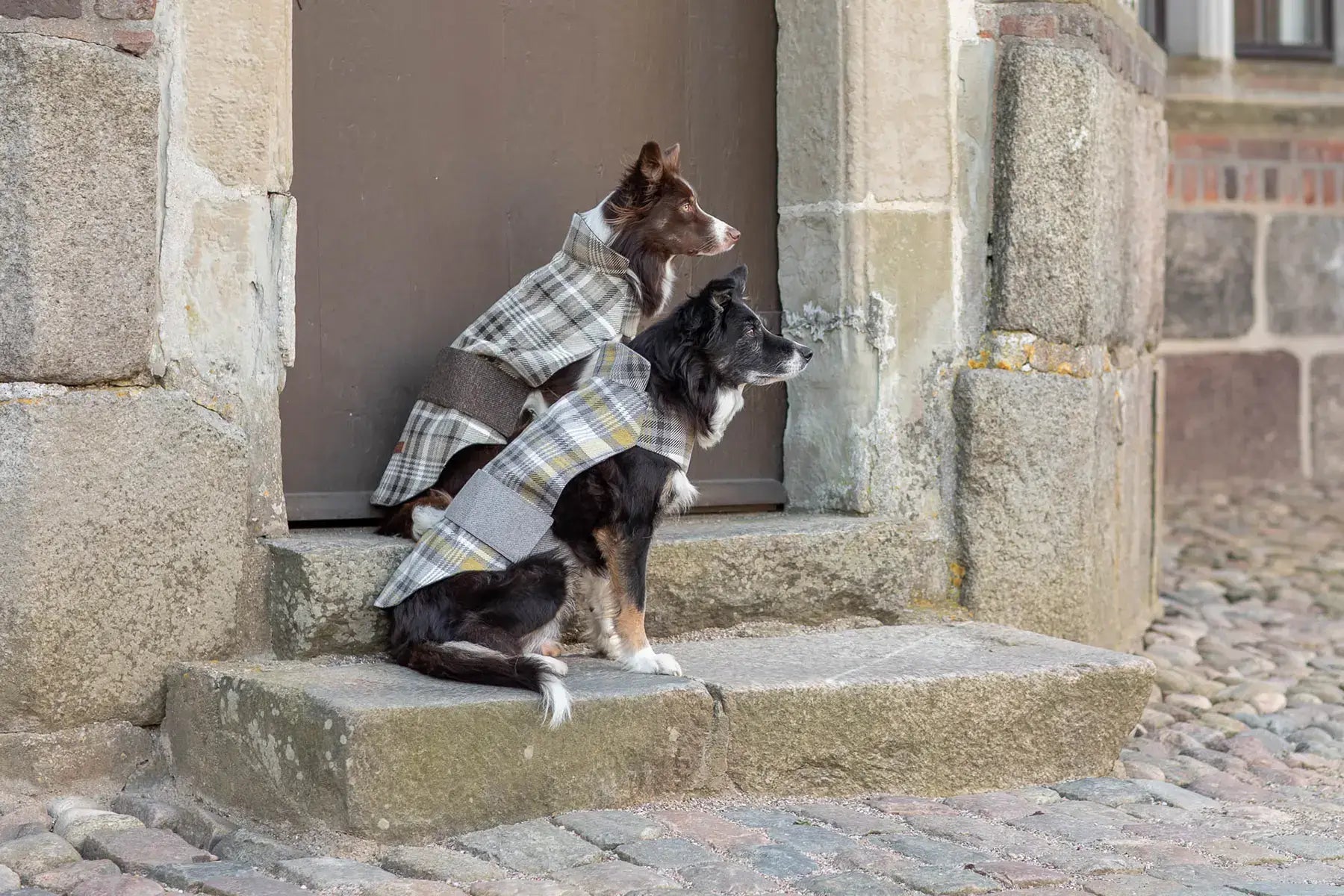 Two Bowl&Bone Republic dog coats in a LEAF brown shade sitting on the steps of a building.