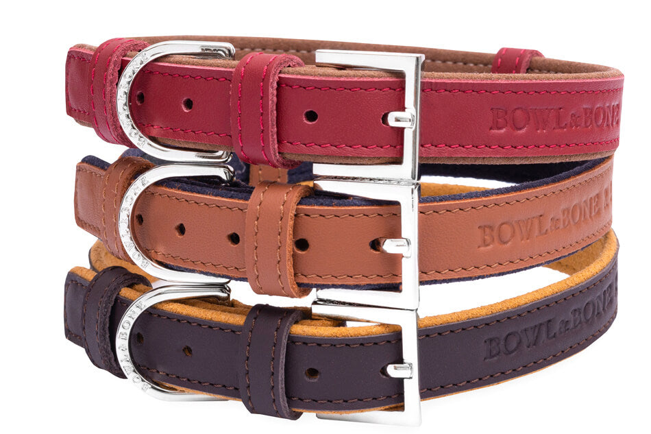 A set of four Bowl&Bone Republic MONACO leather dog collars in different colors.