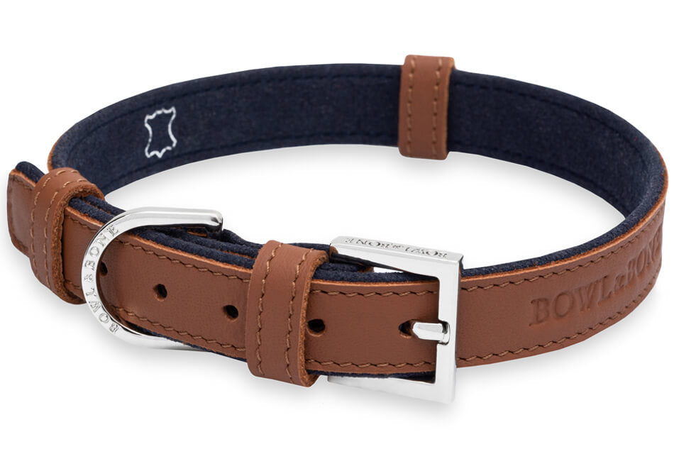 A brown leather dog collar hazelnut with a silver buckle by Bowlandbone, MONACO collection.