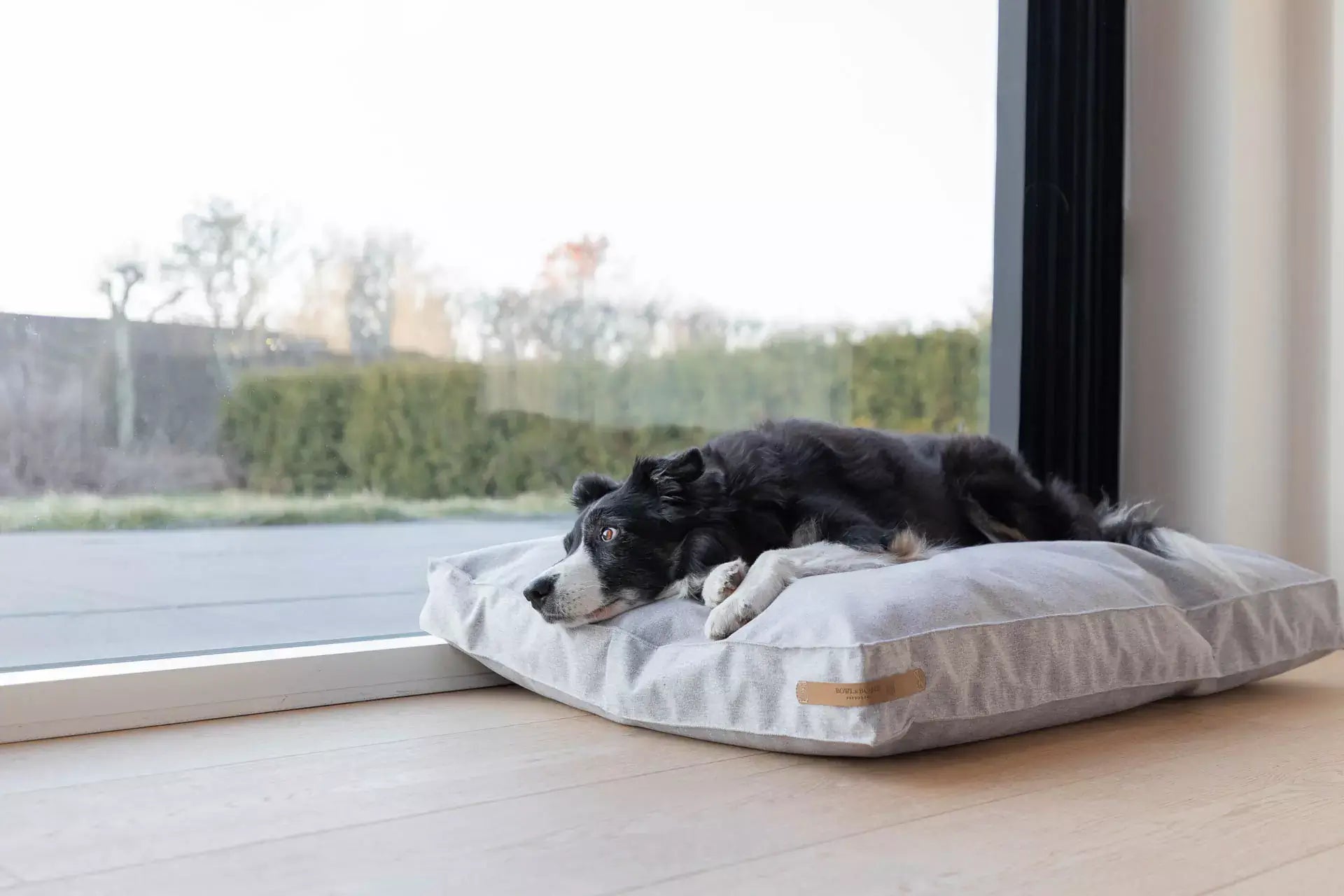 A dog lounging on a stylish Bowlandbone dog bed in front of a window.