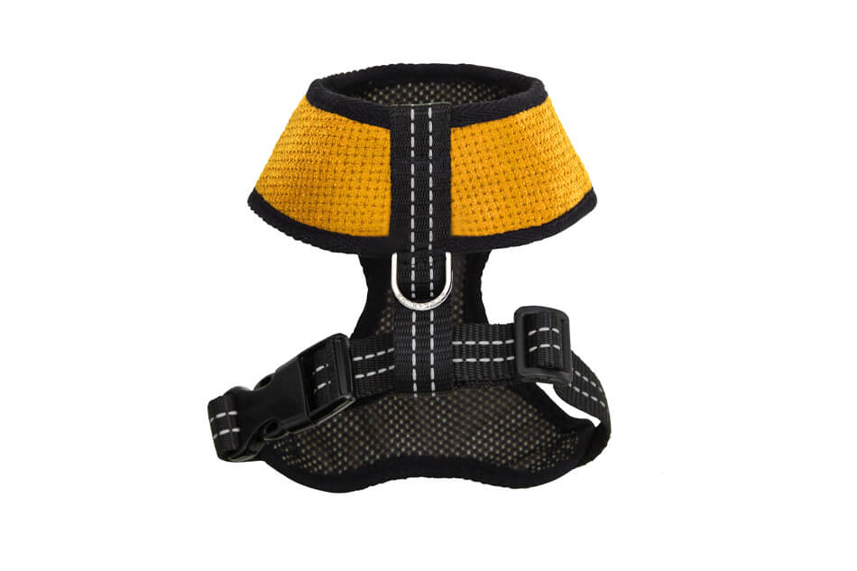 A Bowl&Bone Republic dog harness in CANDY yellow on a white background.