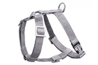 A Bowlandbone dog harness BLOOM grey on a white background.
