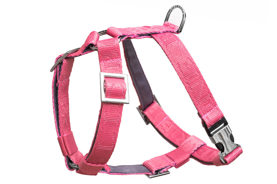 A Bowlandbone dog harness BLOOM pink on a white background.