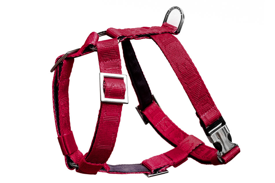 A dog harness BLOOM red by Bowlandbone on a white background.